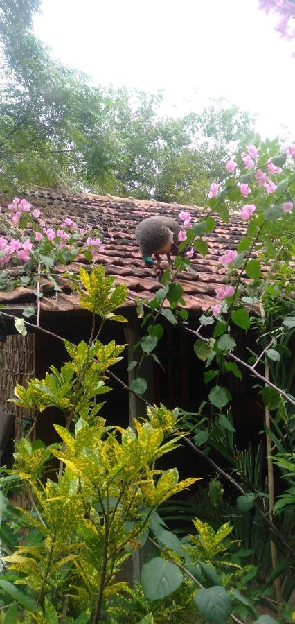 Walkers Hostel Trincomalee Dış mekan fotoğraf