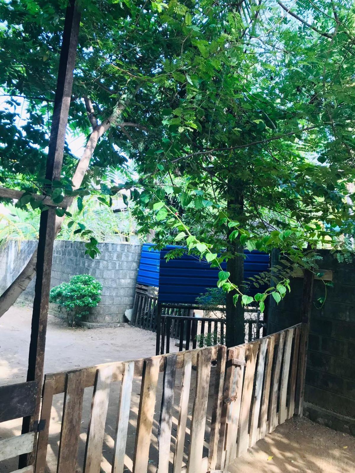 Walkers Hostel Trincomalee Dış mekan fotoğraf